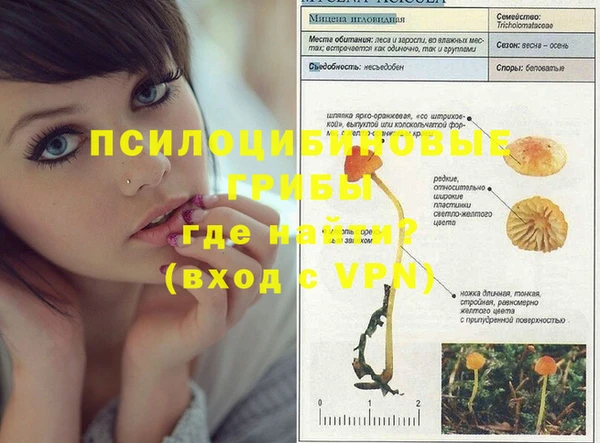 стаф Балабаново