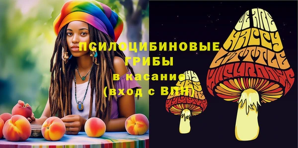 ECSTASY Баксан